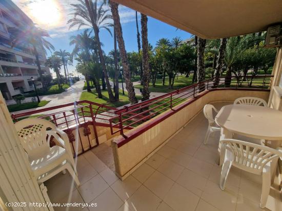 RESIDENCIAL EL PALMERAL , TORREVIEJA - ALICANTE