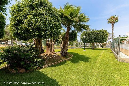 MAGNIFICO BUNGALOW EN PLANTA BAJA, MUY COQUETO, VENGA A VERLO, IDEAL COMO VACACIONAL - ALICANTE