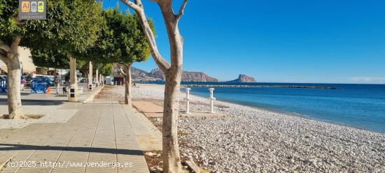 ALQUILER LARGA TEMPORADA(PLAYA DE SAN PERE) - ALICANTE