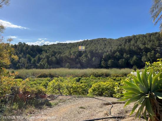  Se Vende en Callosa d'en Sarrià - ALICANTE 