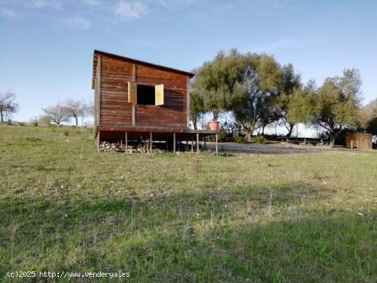 Terreno  rústico en Montuïri ideal para el cultivo de viñas, cereales o crear tu propio huerto - 