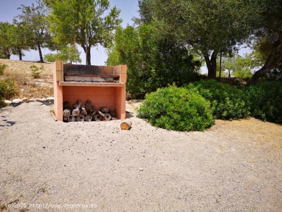 Terreno  rústico en Montuïri ideal para el cultivo de viñas, cereales o crear tu propio huerto - 