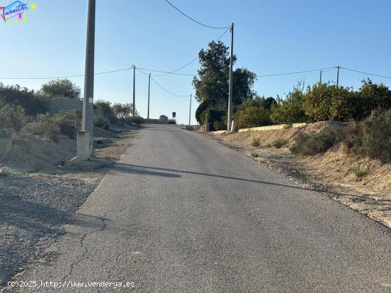  TERRENO RUSTICO EN LA  ANCHOSA ( ARCHENA ) - MURCIA 