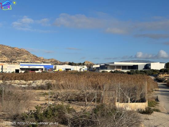 TERRENO RUSTICO EN LA  ANCHOSA ( ARCHENA ) - MURCIA