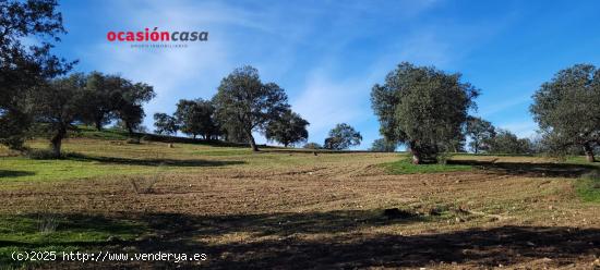  FINCA RÚSTICA EN PEDROCHE - CORDOBA 