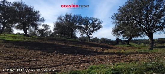 FINCA RÚSTICA EN PEDROCHE - CORDOBA