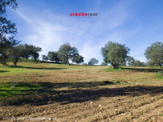 FINCA RÚSTICA EN PEDROCHE - CORDOBA