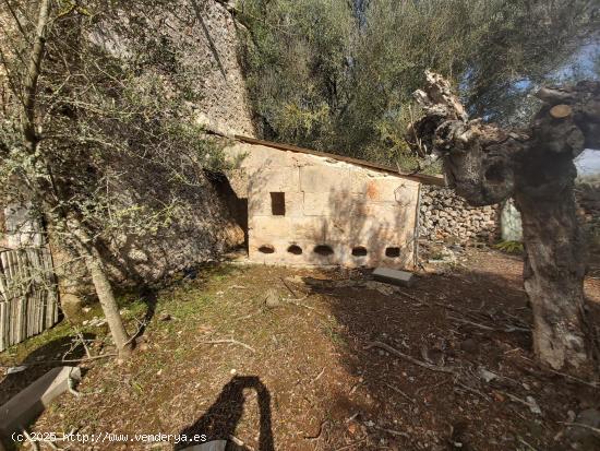 Finca rustica en venta en Santa Margalida - BALEARES