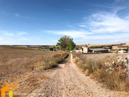 Finca en venta en Renuncio. - BURGOS