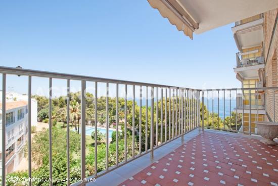  APARTAMENTO LUMINOSO CON VISTAS EN EL CORAZON DE LAS ROTAS DENIA - ALICANTE 