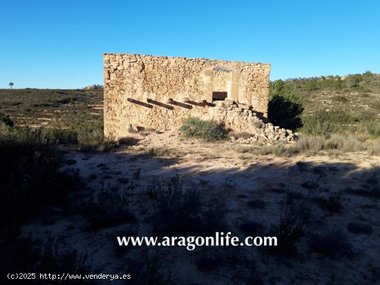 Finca en venta en Maella (Zaragoza)