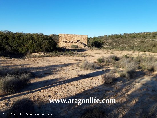 Finca en venta en Maella (Zaragoza)