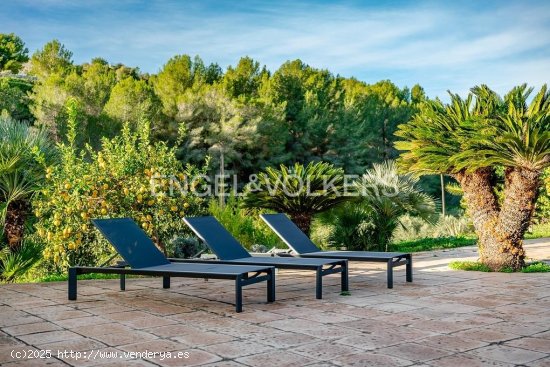 Finca en venta en Benissa (Alicante)