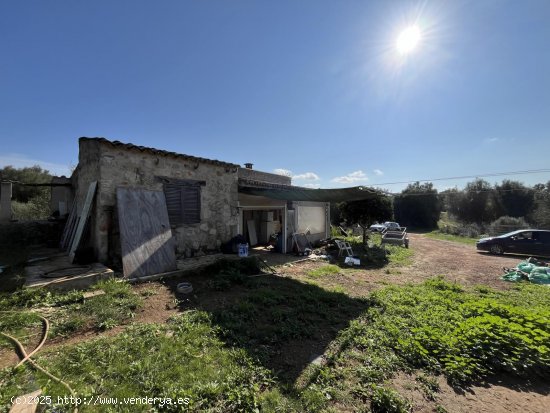 Finca en venta en Llubí (Baleares)