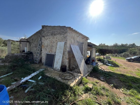 Finca en venta en Llubí (Baleares)