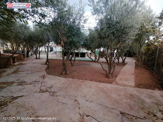 PICADERO CTRA. TOMELLOSO DE 2000 M. DE PARCELA, CON 300 CONSTUIDOS - CIUDAD REAL