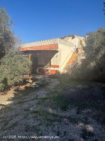 CASA DE HUERTA DE ABAJO - MURCIA