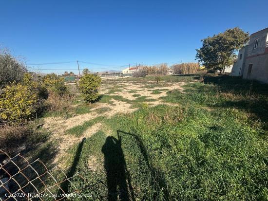 CASA DE HUERTA DE ABAJO - MURCIA