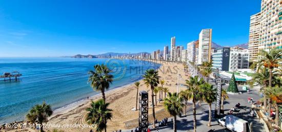 Fantástico Apartamento en Primera Línea de Playa Levante con Vistas al Mar en Benidorm - ALICANTE