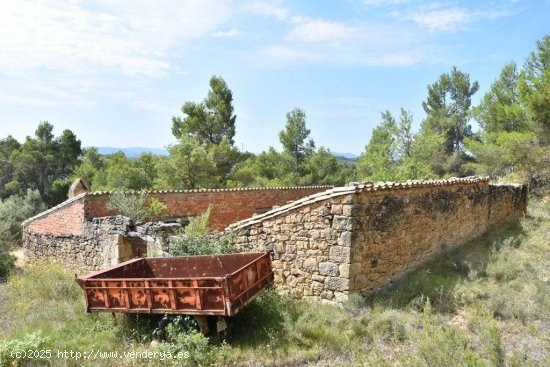 Finca en venta en Cretas (Teruel)