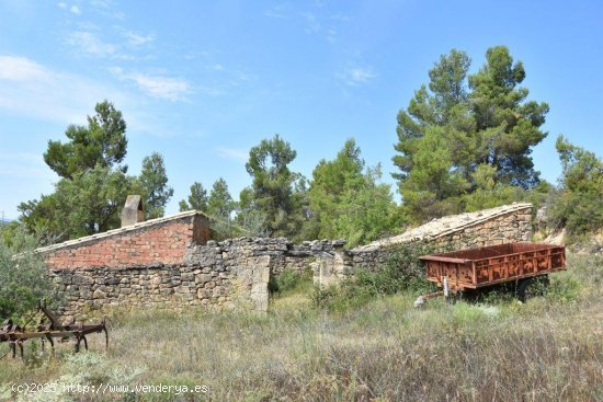 Finca en venta en Cretas (Teruel)