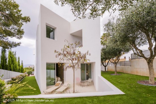  Villa en alquiler en Santa Eulalia del Río (Baleares) 