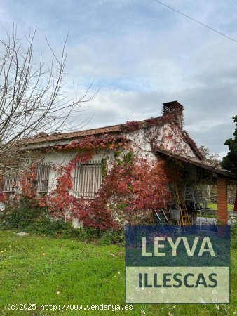 Finca en venta en Villanueva de la Vera (Cáceres)