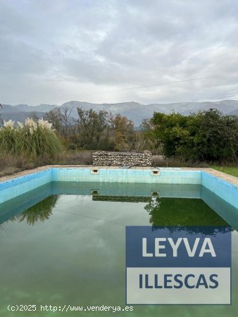 Finca en venta en Villanueva de la Vera (Cáceres)