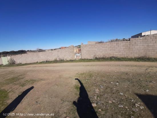 Parcela en Botija - CACERES