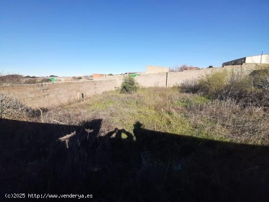 Parcela en Botija - CACERES