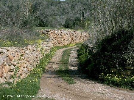 Parcela en venta en Sant Joan de Labritja (Baleares)