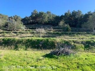 Parcela en venta en Sant Antoni de Portmany (Baleares)