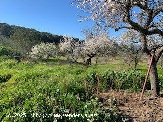 Parcela en venta en Sant Antoni de Portmany (Baleares)