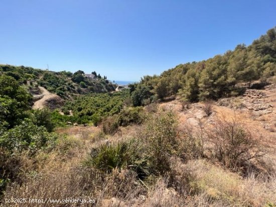 Finca en venta en Frigiliana (Málaga)