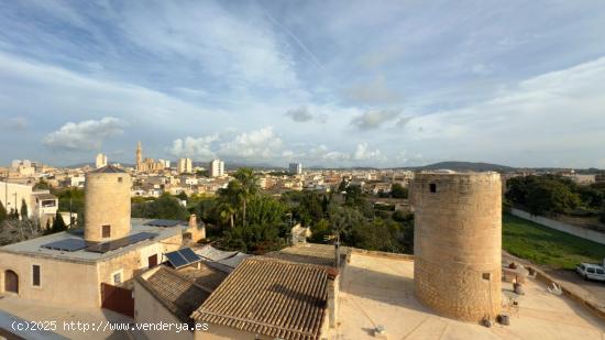 Piso soleado con ascensor y vistas despejadas - BALEARES