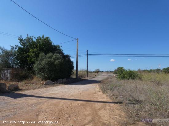 Se Vende en Llucmajor - BALEARES