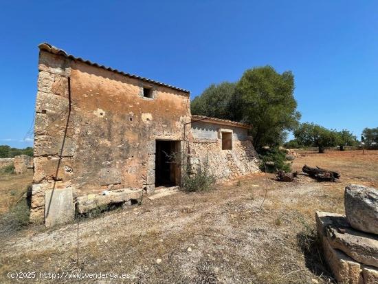  SE VENDE FINCA RUSTICA EDIFICABLE - BALEARES 