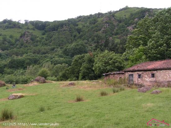 CASERIO CON TERRENO EN SUMBILLA - NAVARRA