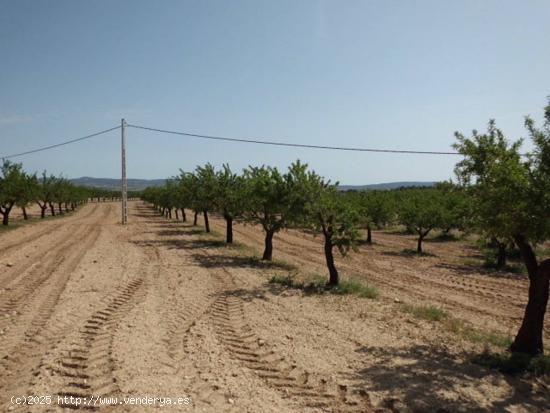 Se Vende en Almansa - ALBACETE