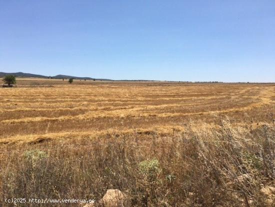 TERRENO POR LA CARRETERA DE AYORA - ALBACETE