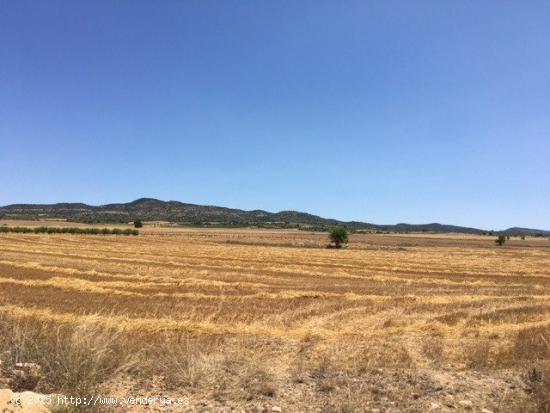 TERRENO POR LA CARRETERA DE AYORA - ALBACETE