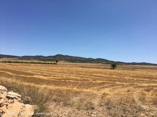 TERRENO POR LA CARRETERA DE AYORA - ALBACETE