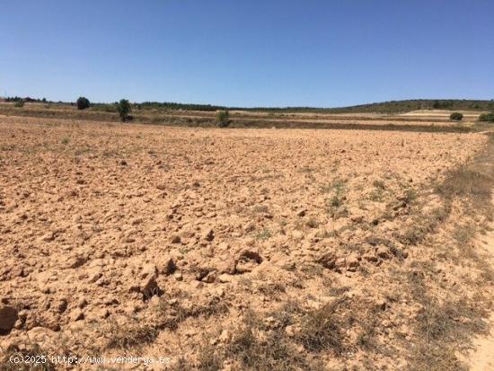 TERRENO EN SAN ANTON - ALBACETE