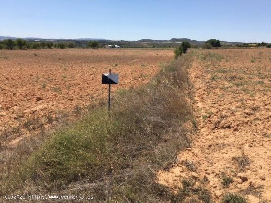 TERRENO EN SAN ANTON - ALBACETE