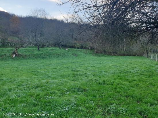 Se Vende en Valle de Mena - BURGOS