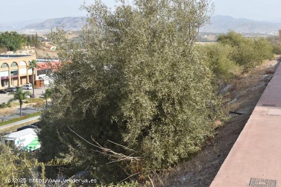  Parcela urbana en Urbanización Sierra Chica, Coin con proyecto de obra. - MALAGA 