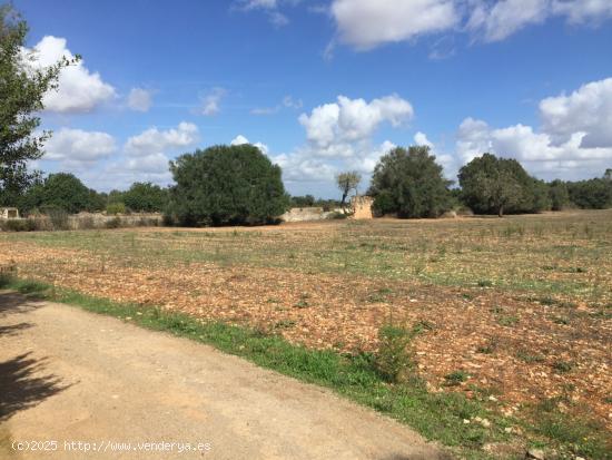 Finca rústica en Felantix. - BALEARES