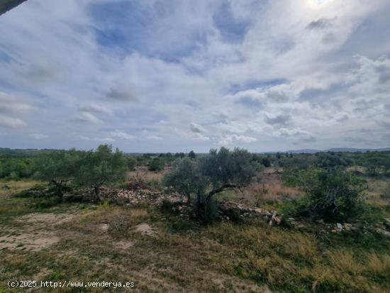 Finca Rústica con construccion de mas de 200m2 para reformar - TARRAGONA