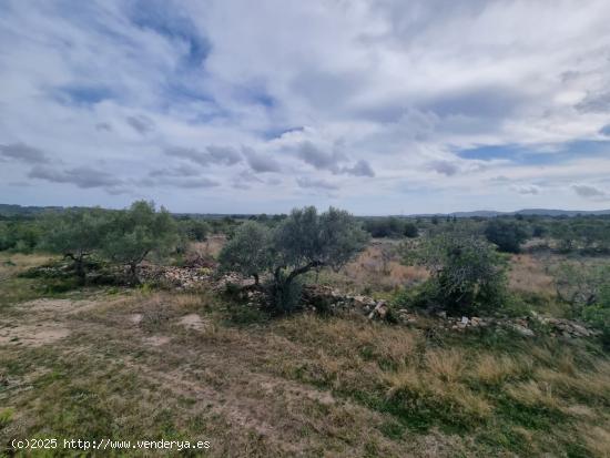 Finca Rústica con construccion de mas de 200m2 para reformar - TARRAGONA