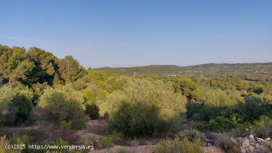 Finca Rústica en el Perello con muchas posibilidades - TARRAGONA